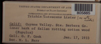 Image Associated With the Occurence